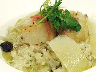 Mushroom Risotto with Grilled Hokkaido Scallop