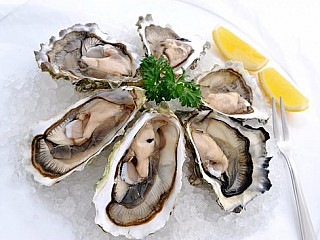 FRESH SHUCKED OYSTERS