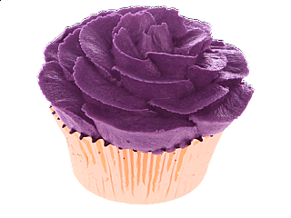 ROSE (PURPLE)