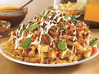 BBQ PULLED PORK FRIES