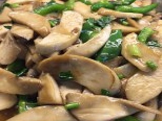 Abalone Cap Mushroom