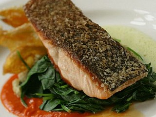 TASMANIAN SALMON