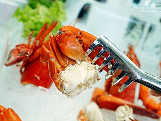 ล็อบสเตอร์ (Lobster)