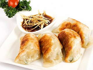 Pan-Fried Chicken Dumpling 上海锅贴