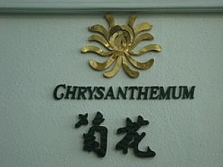 Chrysanthemum