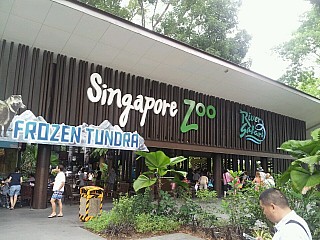 Singapore Zoo