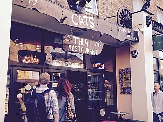 Cats Cafe des Artistes